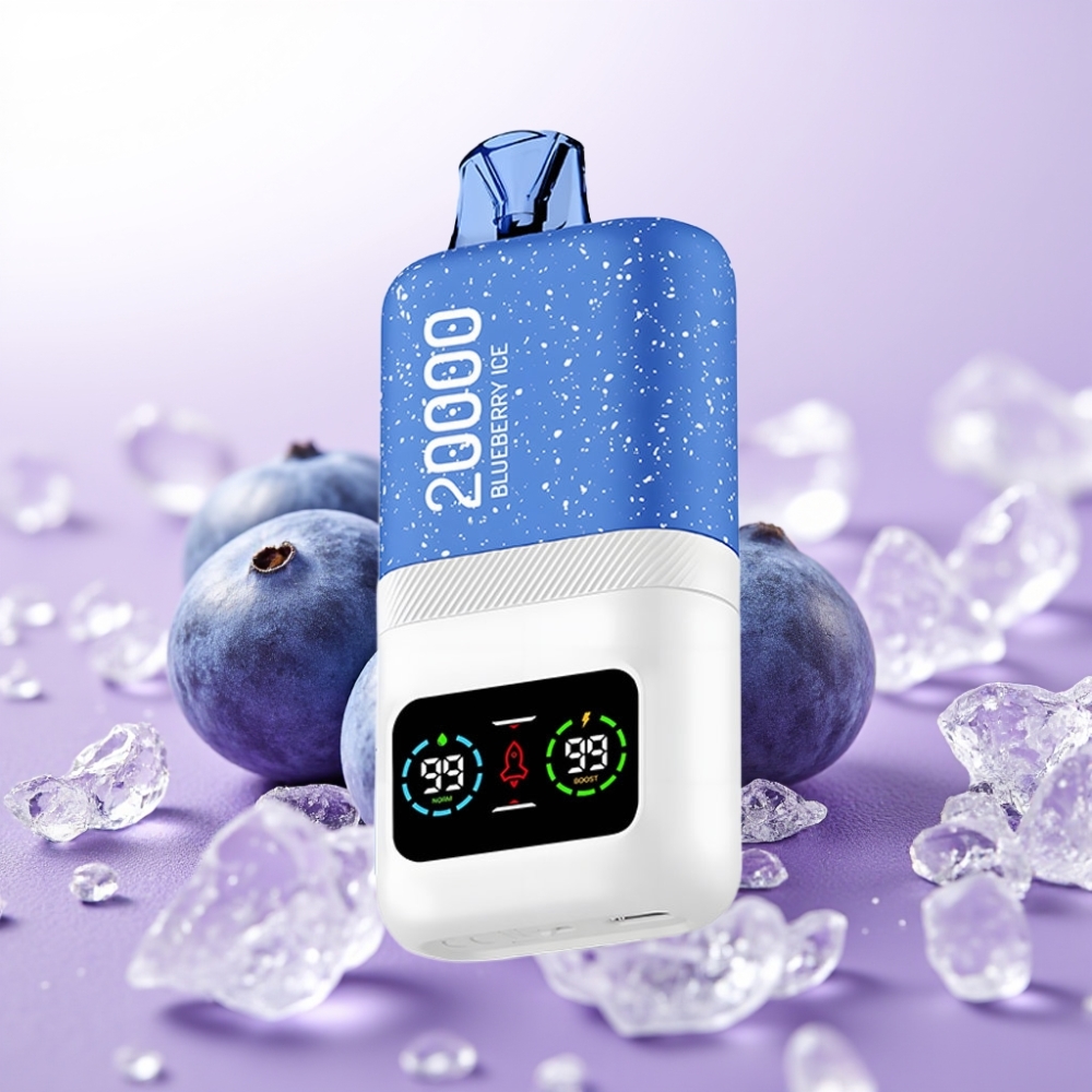 Aivono AIM MAGIC 20000 পাফস ব্লুবেরি আইস টাইপ-সি রিচার্জেবল