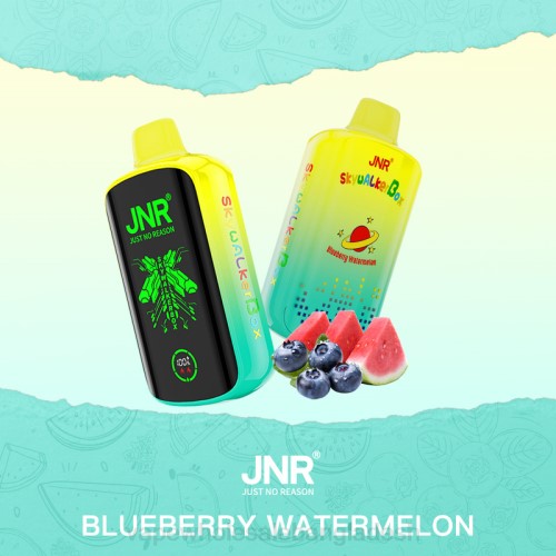 Vape BD Online - ব্লুবেরি তরমুজ F6D8586 JNR SKYWALKER BOX