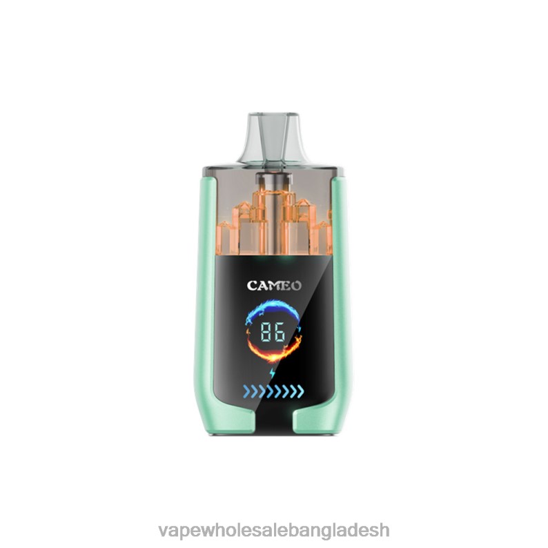 E Cigarette Price - LAVIE CAMEO 30000 puffs 64RHX20 ডবল আপেল