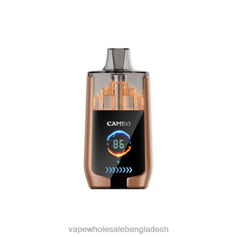 Vape Bangladesh - LAVIE CAMEO 30000 puffs 64RHX18 কফি বরফ