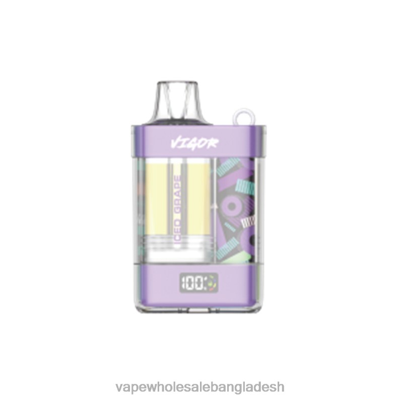 Vape Bangladesh - LAVIE VIGOR 15000 পাফ 64RHX8 বরফযুক্ত আঙ্গুর