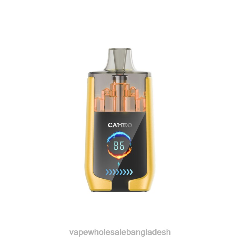 Vape Wholesale Bangladesh - LAVIE CAMEO 30000 puffs 64RHX21 আমের বরফ