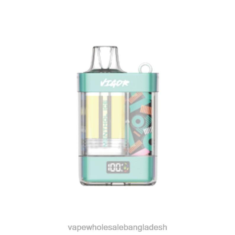 Vape Wholesale Supplier - LAVIE VIGOR 15000 পাফ 64RHX2 মেন্থল বরফ
