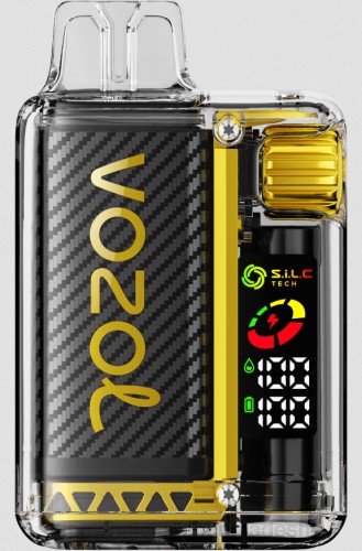 E Cigarette Price - আমের বরফ F6D810 VOZOL VISTA 16000/20000 5%